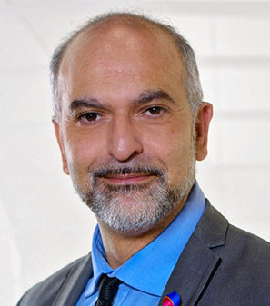 Prof. Dr. med. J. Sehouli