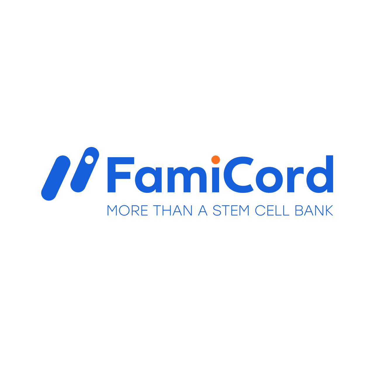 logo das berliner original repetitorium sponsor famicord