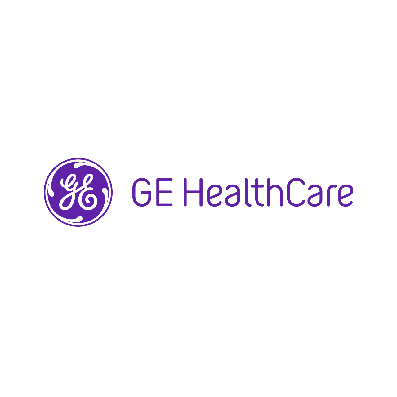 logo das berliner original repetitorium sponsor ge healthcare