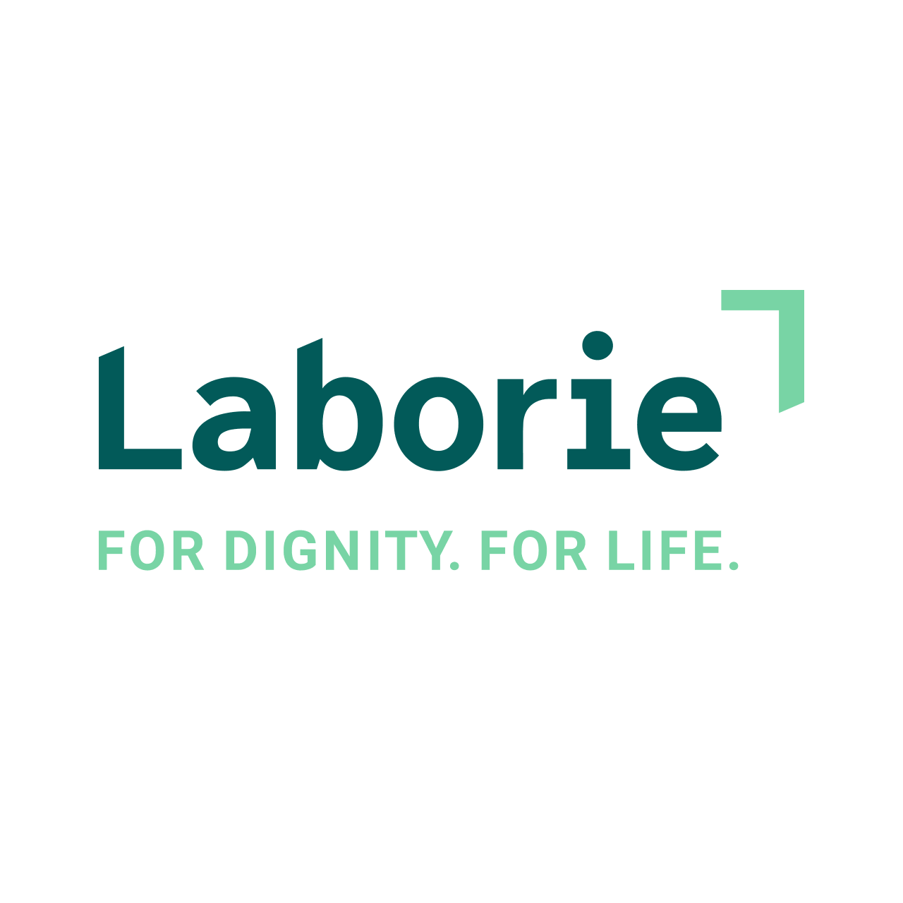 logo sponsor repetitorium 2026 laborie