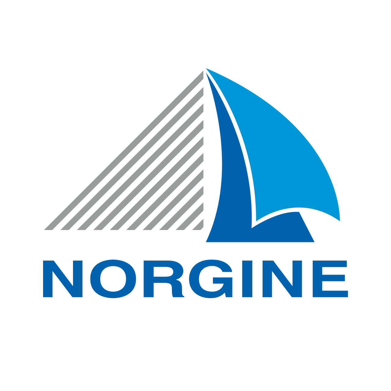 logo sponsor repetitorium 2026 norgine