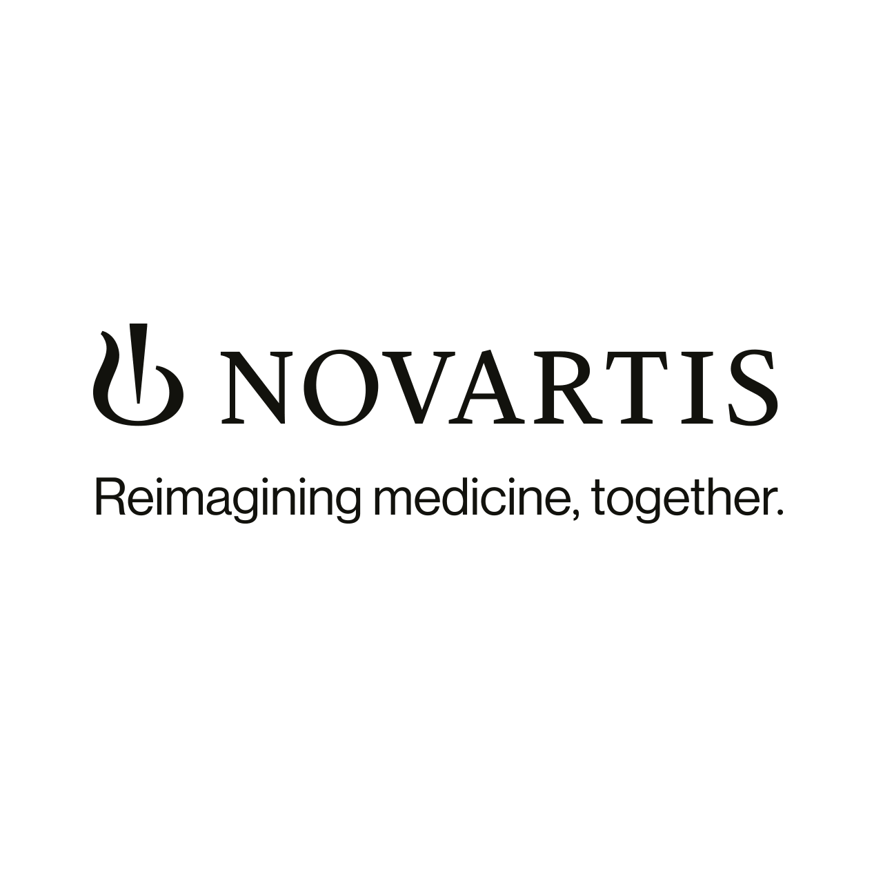 logo sponsor repetitorium 2026 novartis