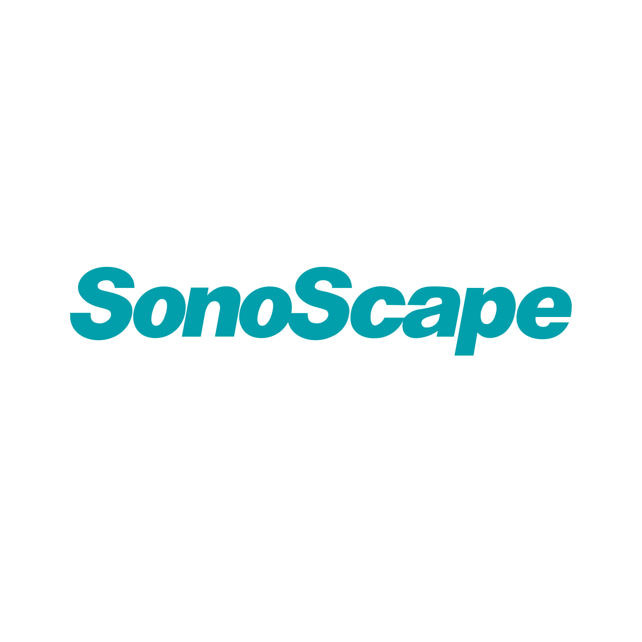 logo sponsor repetitorium 2026 sonoscape