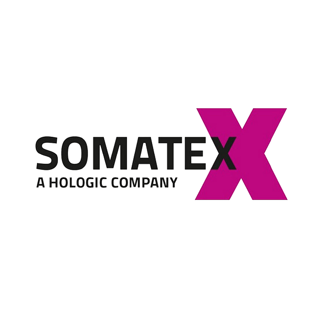 logo sponsor repetitorium 2026 somatex